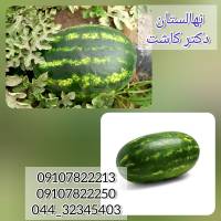 عکس آگهی فروش بذر هندوانه فارائو